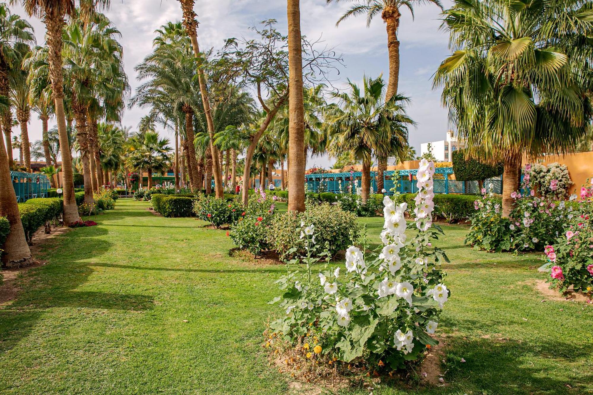 Giftun Azur Resort 후르가다 외부 사진