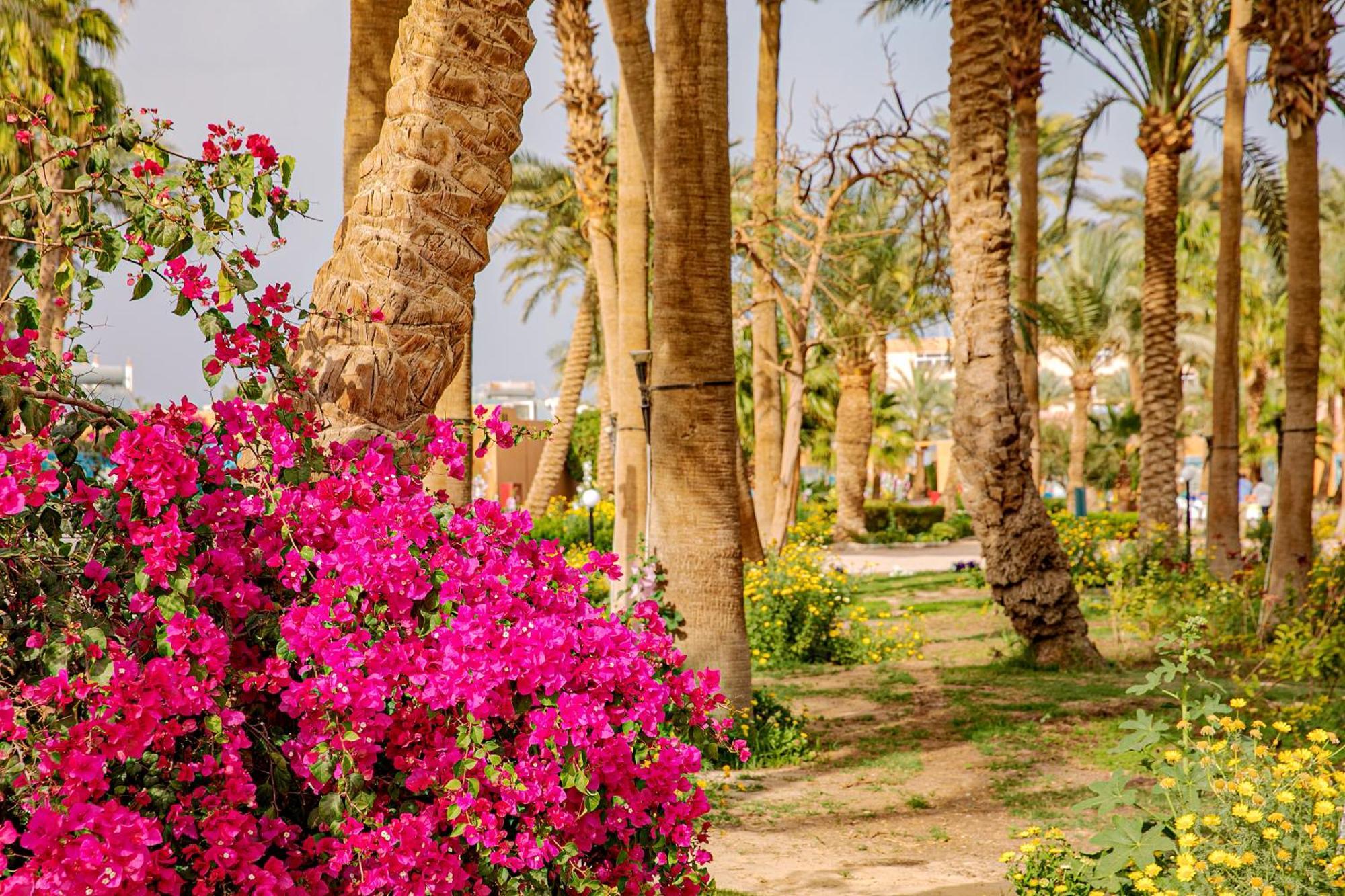 Giftun Azur Resort 후르가다 외부 사진